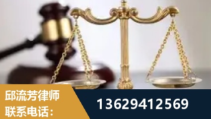 咸宁-疑难刑事案件处理