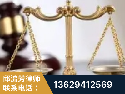 咸宁-委托诉讼代理人出庭